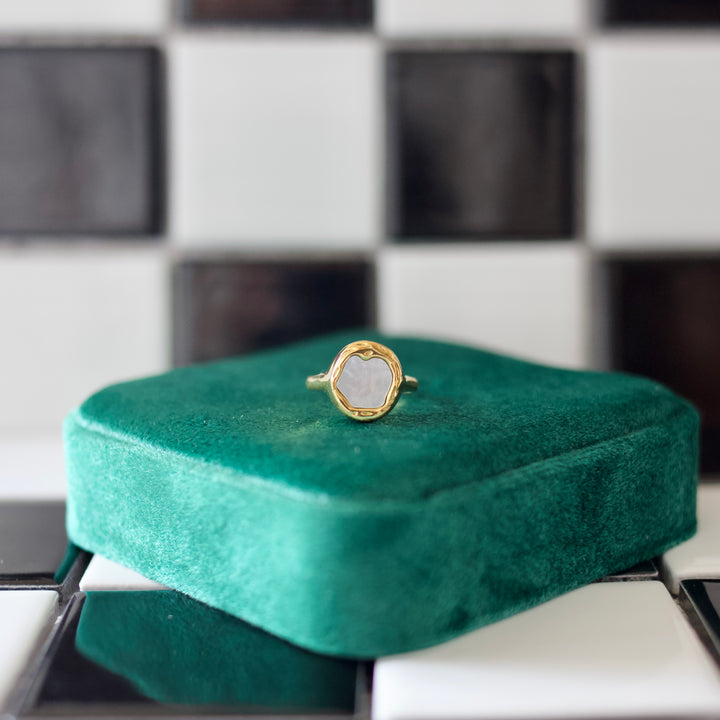 Shell Ring